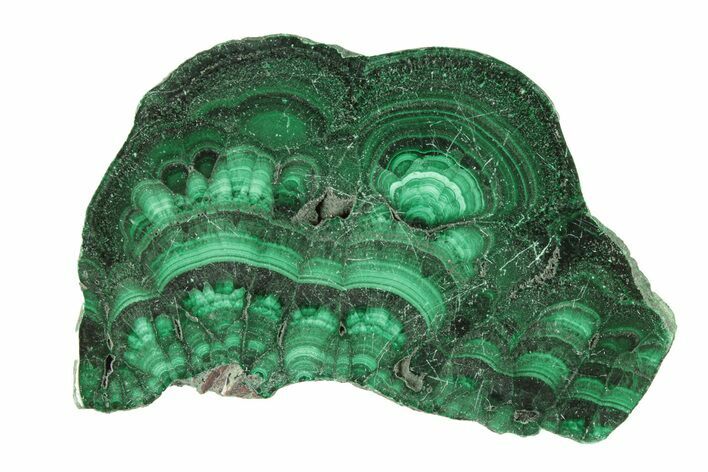 Polished Malachite Slab - DR Congo #266827